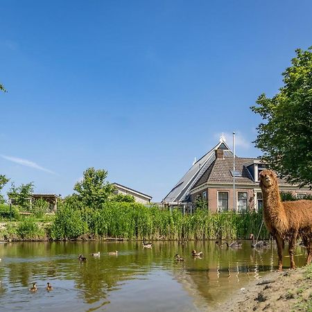 Recreatieboerderij Hoeve Noordveld Oude Bildtzijl Zewnętrze zdjęcie